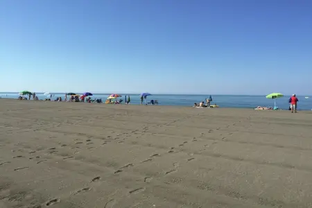 Sughera, Ferme moderne à Montalto di Castro avec piscine - Photo 36