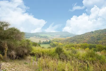 Il Belvedere, Magnifique villa avec piscine commune à Sermugnano - Photo 26