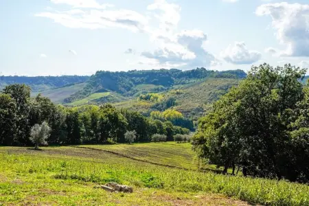 Villa Sparina, Vieille Villa à Sermugnano avec piscine à débordement - Photo 30