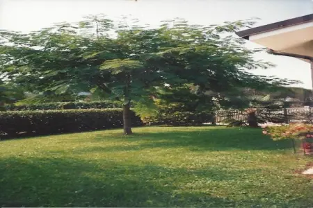 Casa Travesio, Charmante maison au coeur du Frioul - Photo 28