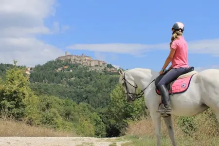 Vista, Ferme confortable avec jardin à Monte Santa Maria Tiberina - Photo 34