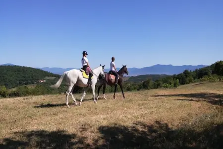 Vista, Ferme confortable avec jardin à Monte Santa Maria Tiberina - Photo 35