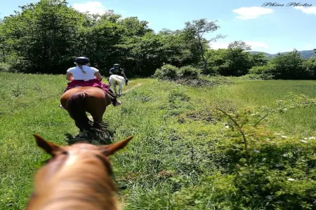 Vista, Ferme confortable avec jardin à Monte Santa Maria Tiberina - Photo 36