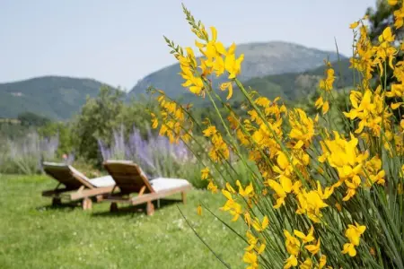 Regina, Maison de campagne de luxe avec piscine à Umbertide - Photo 36