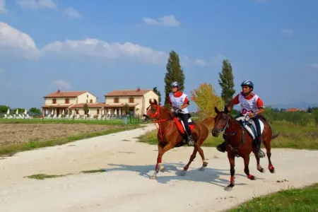 Spello, Villa moderne à Cannara avec piscine - Photo 29