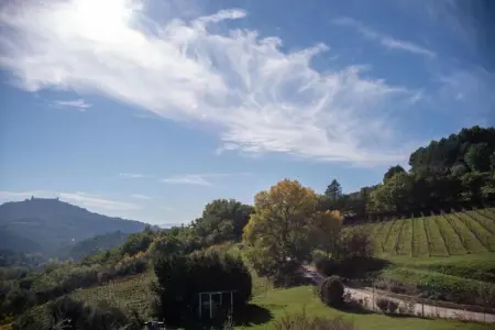 Spello, Villa moderne à Cannara avec piscine - Photo 35