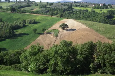 Granaio, Château de luxe avec piscine installé en Ombrie - Photo 25
