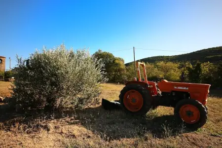 Granaio, Château de luxe avec piscine installé en Ombrie - Photo 37
