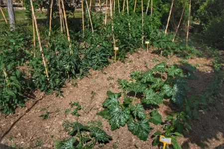 Club House, Mas cosy à Paciano avec piscine privée - Photo 27