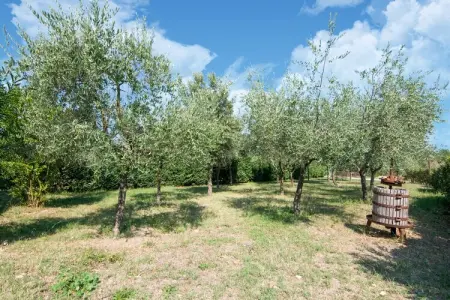 Cavaliere d'Italia, Grande ferme avec piscine à Castiglione del Lago - Photo 32