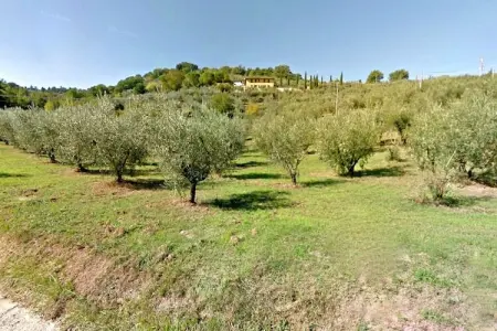 Molinella, Gîte serein à Bettona avec forêt à proximité - Photo 36