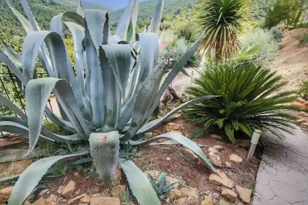 Molinella, Gîte serein à Bettona avec forêt à proximité - Photo 37