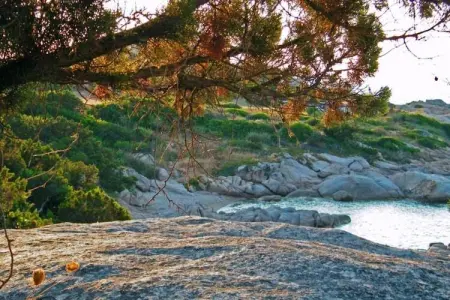 Villa Pitrizzina, Villa avec piscine, surplombant les eaux cristallines de la Costa Smeralda - Photo 34