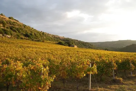 Casa Santa Giusta, Maison de vacances moderne près de la mer à Bosa, Sardaigne - Photo 28