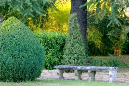 Castello Grimalda - Conchiglie, Appartement de luxe avec jardin à Rocca Grimalda - Photo 24