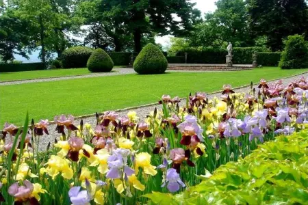 Castello Grimalda - Conchiglie, Appartement de luxe avec jardin à Rocca Grimalda - Photo 28