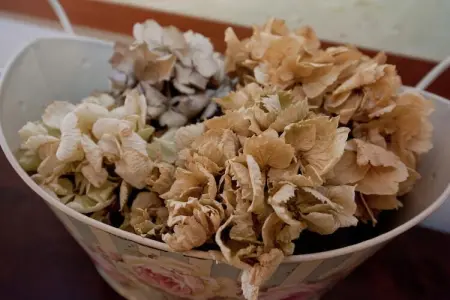 Castello Grimalda - Conchiglie, Appartement de luxe avec jardin à Rocca Grimalda - Photo 36