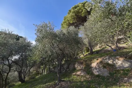 La Panoramica, Charmante villa avec terrasse dans la Riviera Liguria - Photo 28
