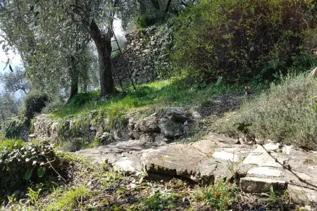 La Panoramica, Charmante villa avec terrasse dans la Riviera Liguria - Photo 35