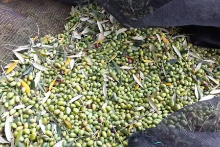 La Panoramica, Charmante villa avec terrasse dans la Riviera Liguria - Photo 37