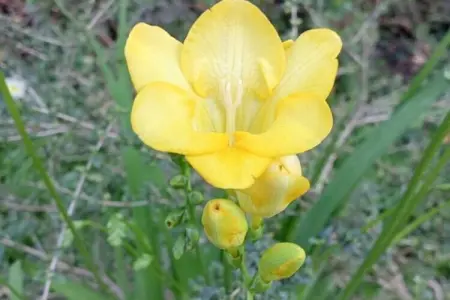 La Panoramica, Charmante villa avec terrasse dans la Riviera Liguria - Photo 39