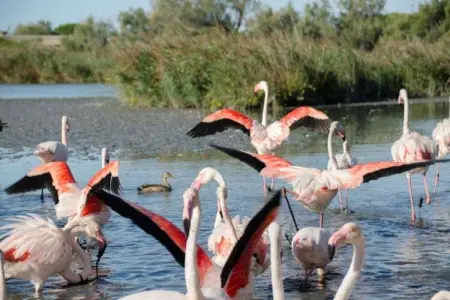 Casa Lucia Due, Maison moderne à Idro (Lombardie), située près du lac Idro - Photo 35