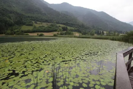 Villa Etti Bilo - Fronte Lago, Charmante maison de vacances près du lac Ledro pour 6, parc - Photo 29