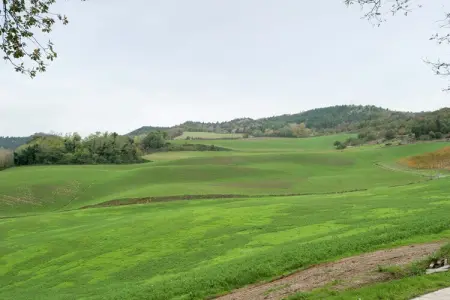 Appartamento Yassine, Maison de vacances confortable à Tredozio, avec barbecue - Photo 20