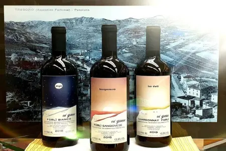 Appartamento Yassine, Maison de vacances confortable à Tredozio, avec barbecue - Photo 28