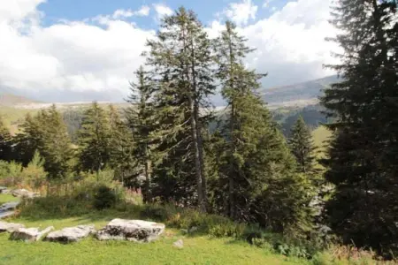 Les Portes du Grand Massif 7, Appartement typique sur le domaine skiable du Grand Massif - Photo 30