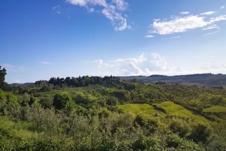 Primrose, Maison de vacances cosy à 

 Greve in Chianti, avec piscine - Photo 39