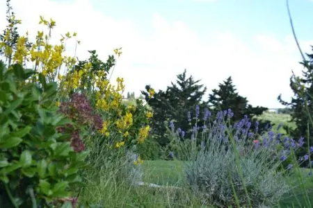 Loggia, Maison de vacances cosy avec piscine en Toscane - Photo 33