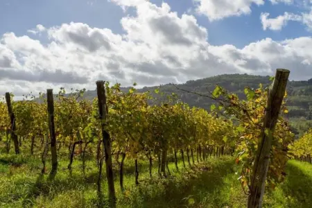 Loggia, Maison de vacances cosy avec piscine en Toscane - Photo 34