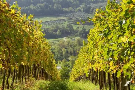 Loggia, Maison de vacances cosy avec piscine en Toscane - Photo 36