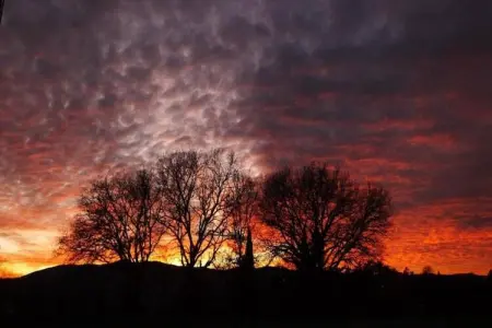 Loggia, Maison de vacances cosy avec piscine en Toscane - Photo 39
