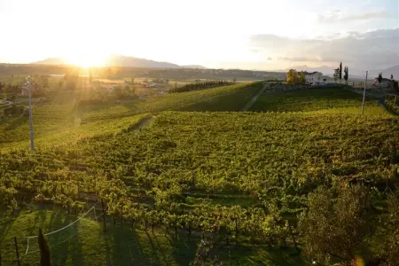 Giaggiolo, Charmante maison de vacances avec piscine à Cerreto Guidi - Photo 32