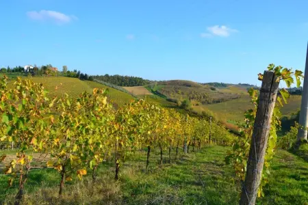 Giaggiolo, Charmante maison de vacances avec piscine à Cerreto Guidi - Photo 39