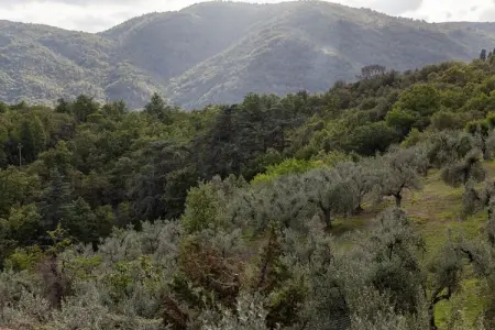 Trebbiano, Maison de vacances confortable à Florence avec piscine - Photo 33