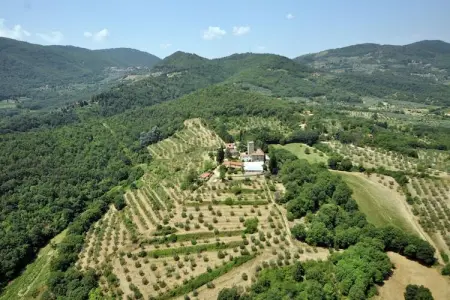 Camino Ugo, Maison de vacances de tradition à Florence, Toscane. Piscine - Photo 29