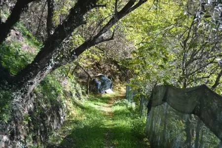 Conca oro, Gîte spacieux avec piscine privée en forêt à Marliana - Photo 23