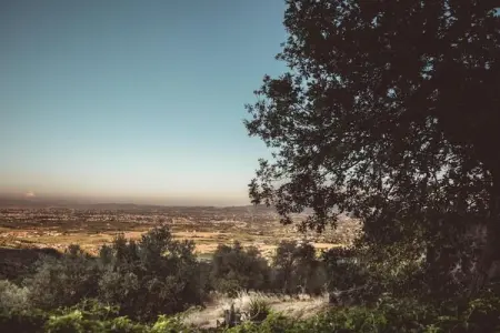 La Loggia, maison de vacances caractéristique avec piscine partagée - Photo 37