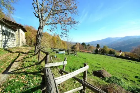 Partitoio Caprioli, Maison de vacances avec piscine à San Marcello Pistoiese - Photo 24