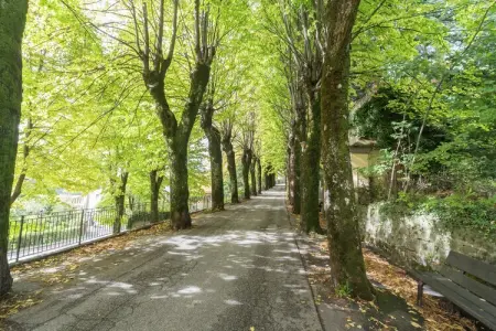 Partitoio Ovile, Maison de vacances paisible à San Marcello avec piscine et terrasse - Photo 21