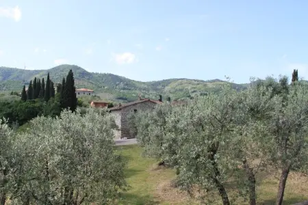 La Casa dei Due Olivi, Ferme rustique à San Baronto avec piscine - Photo 24