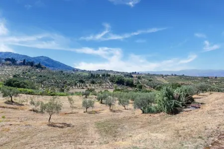 La Casa dei Due Olivi, Ferme rustique à San Baronto avec piscine - Photo 35