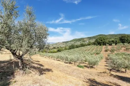 La Casa dei Due Olivi, Ferme rustique à San Baronto avec piscine - Photo 36