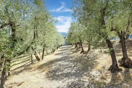 La Casa dei Due Olivi, Ferme rustique à San Baronto avec piscine - Photo 37