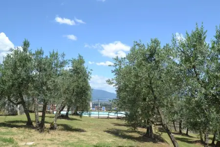 La Casa dei Cinque Olivi, Charmante ferme à San Baronto avec piscine - Photo 30