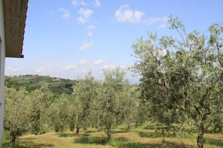 La Casa dei Cinque Olivi, Charmante ferme à San Baronto avec piscine - Photo 32