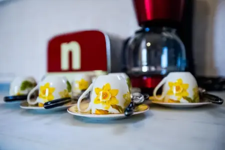Villa Nonno, Villa exotique à Pieve San Giovanni avec piscine - Photo 34